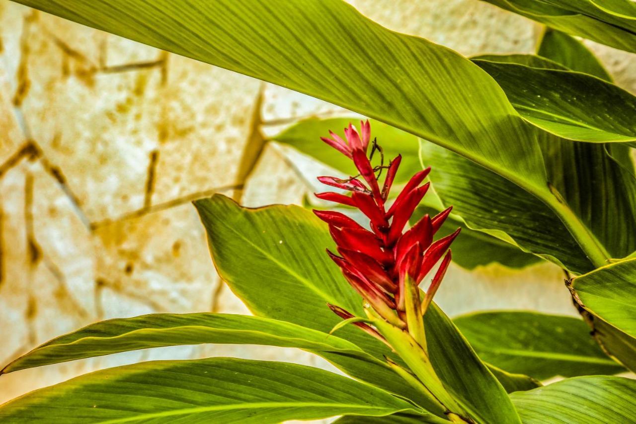 Agam Hotel Bacalar Bagian luar foto